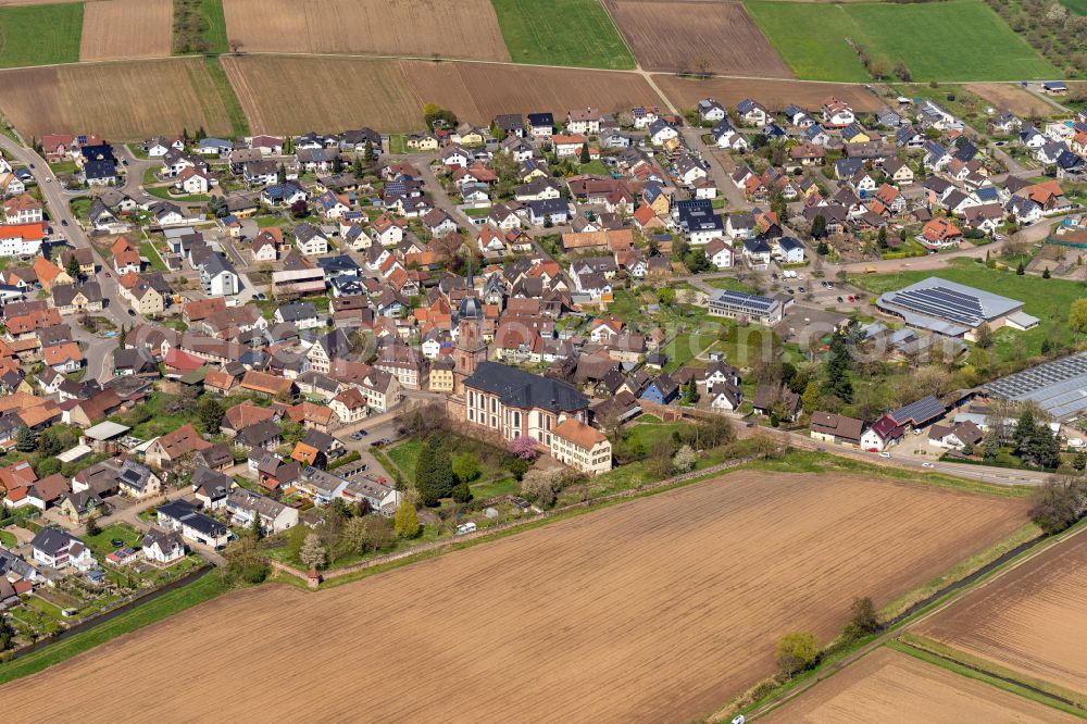 Schuttern from above - Village view on the edge of agricultural fields and land in Schuttern in the state Baden-Wuerttemberg, Germany