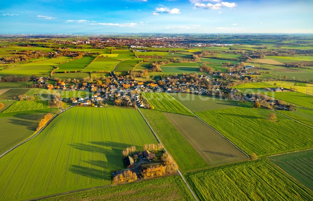 Aerial image Schwefe - Village view on the edge of agricultural fields and land in Schwefe in the state North Rhine-Westphalia, Germany