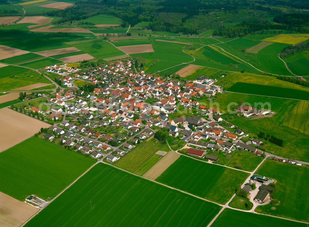 Setzingen from the bird's eye view: Village view on the edge of agricultural fields and land in Setzingen in the state Baden-Wuerttemberg, Germany