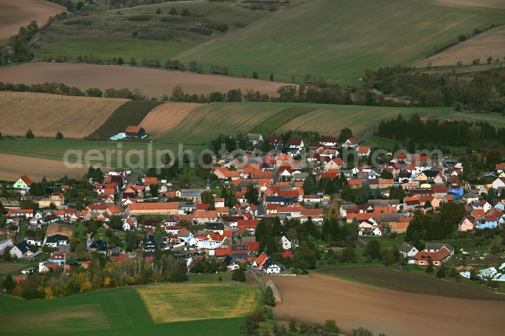 Aerial photograph Steinthaleben - Village view on the edge of agricultural fields and land in Steinthaleben Kyffhaeuserland in the state Thuringia, Germany