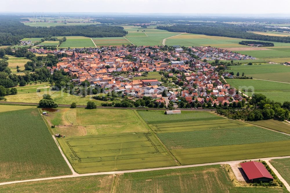 Steinweiler from the bird's eye view: Village view on the edge of agricultural fields and land in Steinweiler in the state Rhineland-Palatinate, Germany