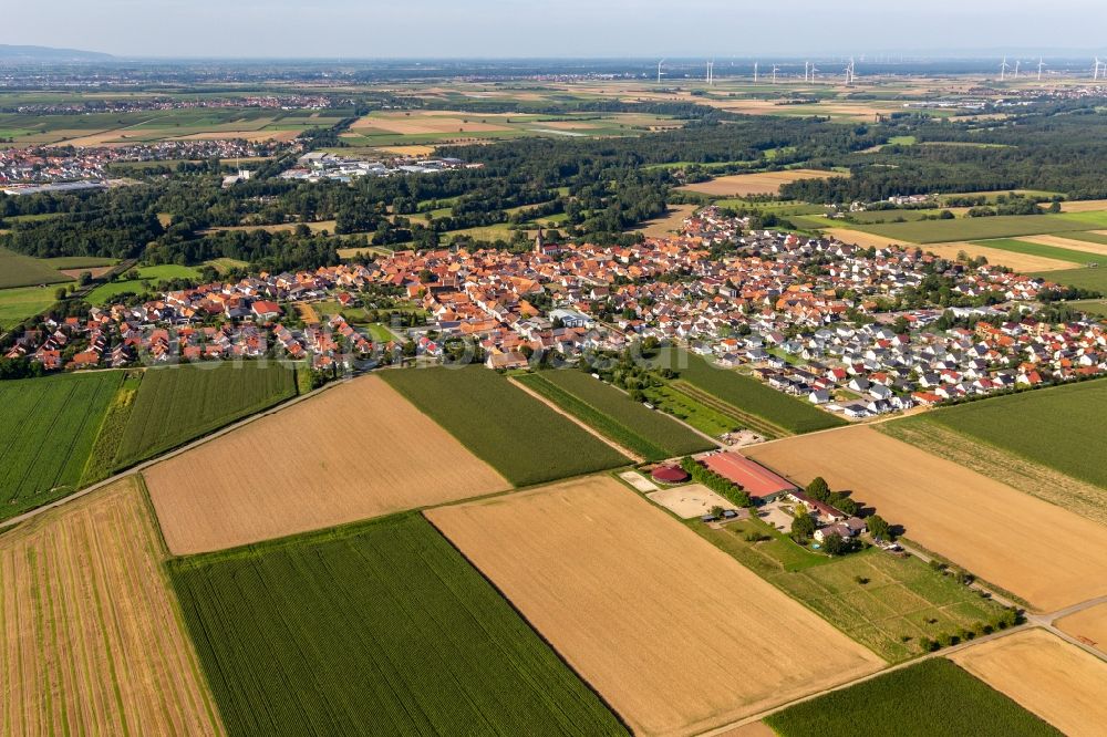 Steinweiler from above - Village view on the edge of agricultural fields and land in Steinweiler in the state Rhineland-Palatinate, Germany