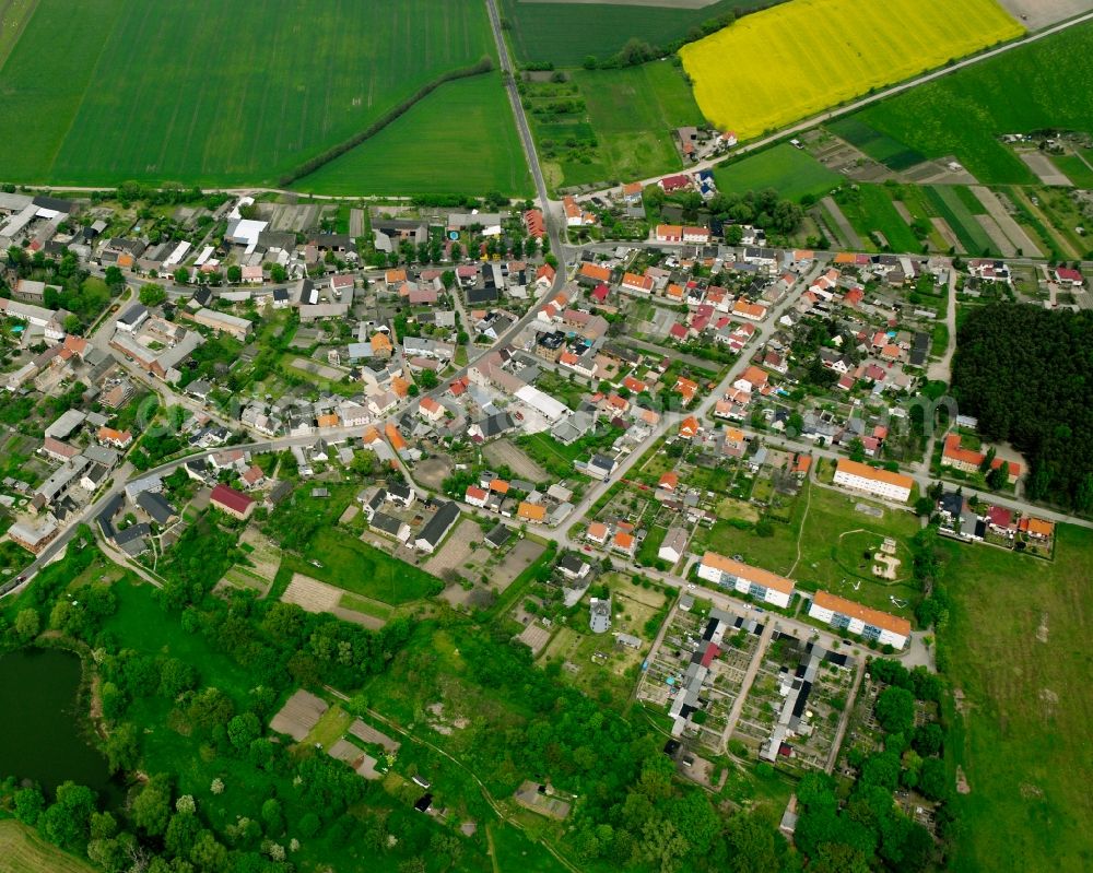 Steutz from the bird's eye view: Village view on the edge of agricultural fields and land in Steutz in the state Saxony-Anhalt, Germany