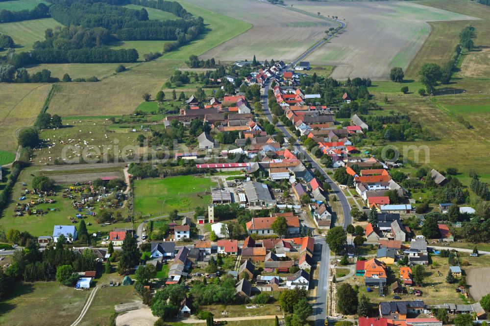 Aerial photograph Tanneberg - Village view on the edge of agricultural fields and land on street Moellendorfer Strasse in Tanneberg in the state Brandenburg, Germany