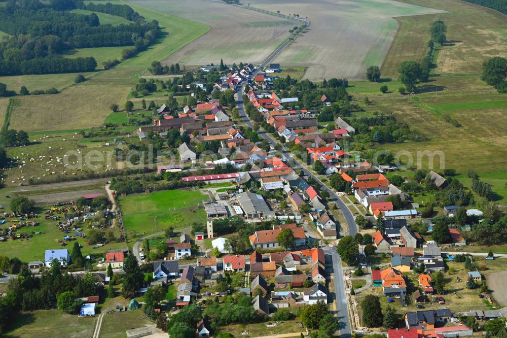 Tanneberg from above - Village view on the edge of agricultural fields and land on street Moellendorfer Strasse in Tanneberg in the state Brandenburg, Germany