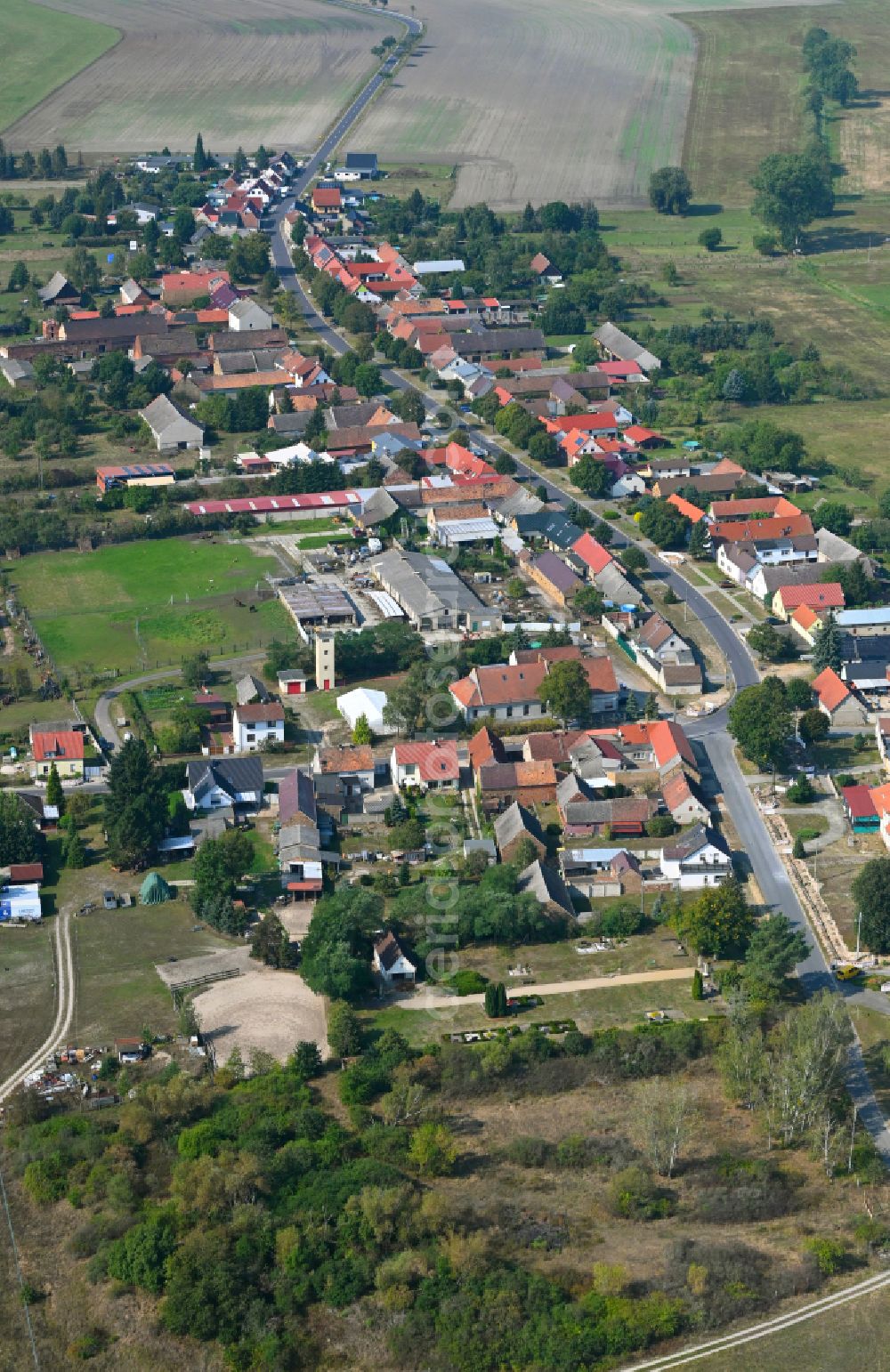 Tanneberg from the bird's eye view: Village view on the edge of agricultural fields and land on street Moellendorfer Strasse in Tanneberg in the state Brandenburg, Germany