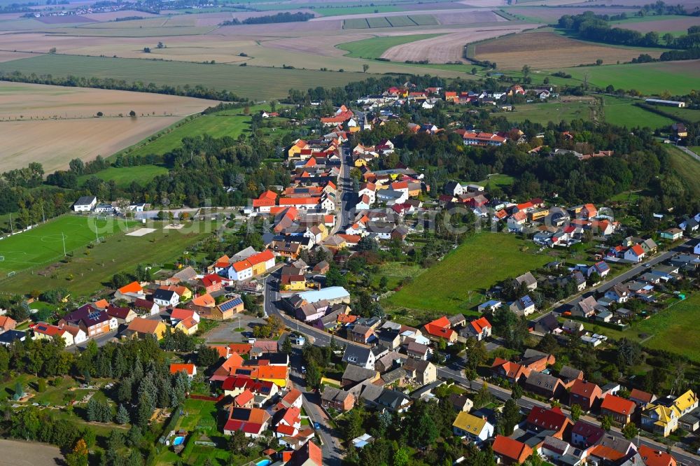 Trebitz from above - Village view on the edge of agricultural fields and land in Trebitz in the state Saxony-Anhalt, Germany