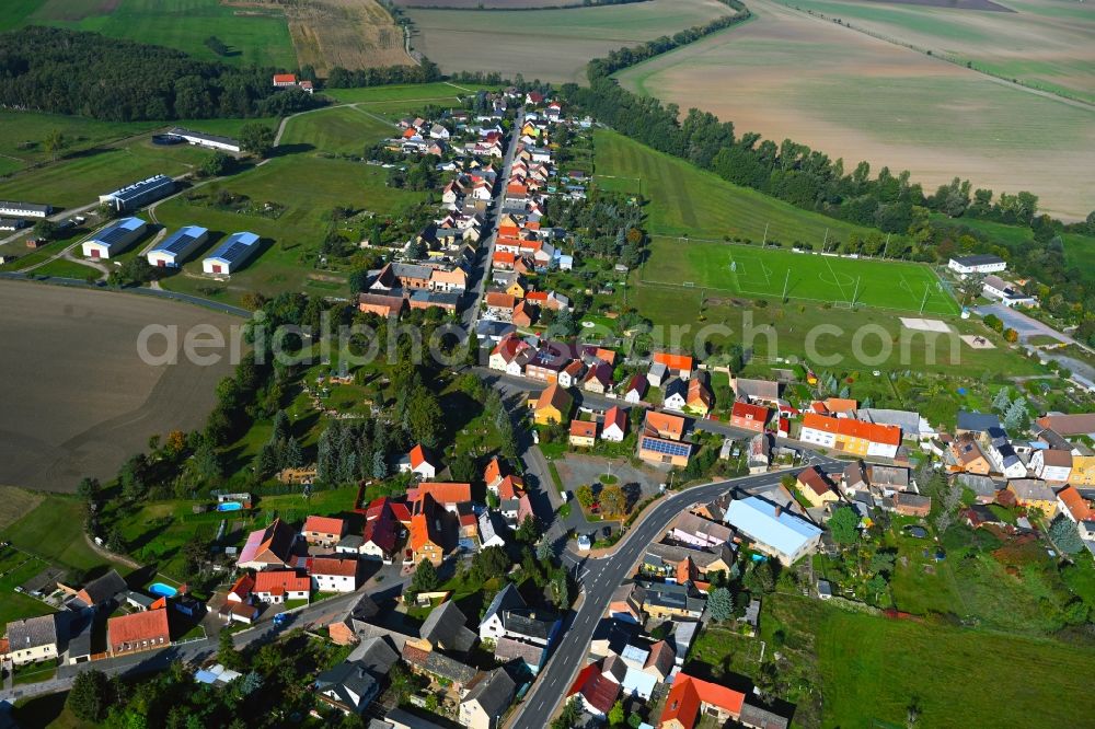 Aerial image Trebitz - Village view on the edge of agricultural fields and land in Trebitz in the state Saxony-Anhalt, Germany