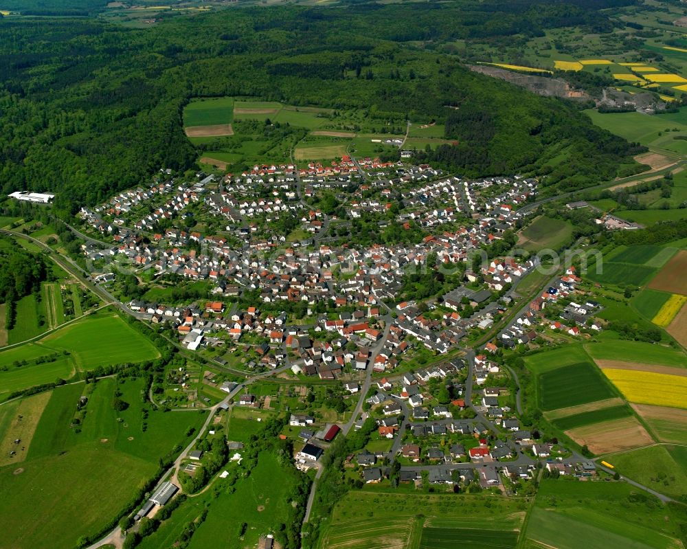 Treis from above - Village view on the edge of agricultural fields and land in Treis in the state Hesse, Germany