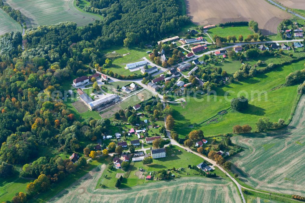 Uckerland from the bird's eye view: Village view on the edge of agricultural fields and land in the district Wilsickow in Uckerland in the Uckermark in the state Brandenburg, Germany