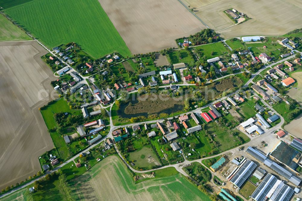 Aerial photograph Uckerland - Village view on the edge of agricultural fields and land in the district Bandelow in Uckerland in the Uckermark in the state Brandenburg, Germany