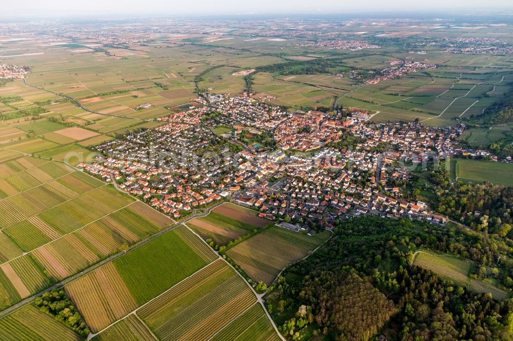 Aerial photograph Wachenheim an der Weinstraße - Village view on the edge of agricultural fields and land in Wachenheim an der Weinstrasse in the state Rhineland-Palatinate, Germany