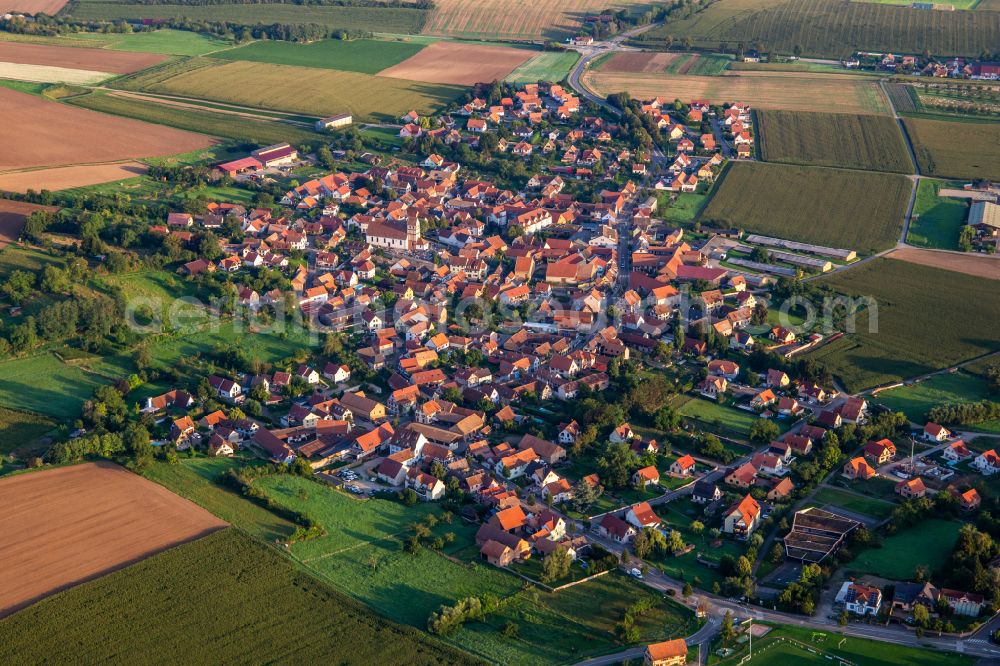 Aerial image Zeinheim - Village view on the edge of agricultural fields and land on street Rue des Tilleuls in Willgottheim in Grand Est, France