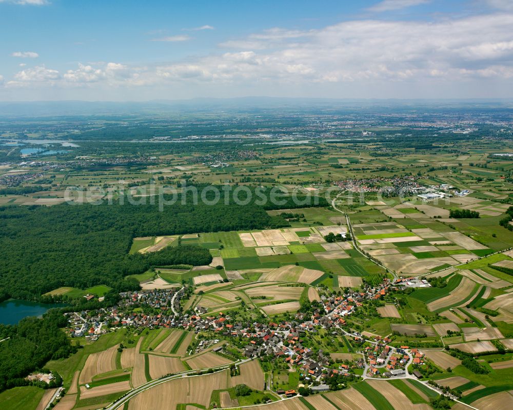 Aerial image Willstätt - Village view on the edge of agricultural fields and land in Willstätt in the state Baden-Wuerttemberg, Germany