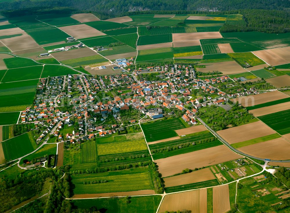 Wippingen from above - Village view on the edge of agricultural fields and land in Wippingen in the state Baden-Wuerttemberg, Germany