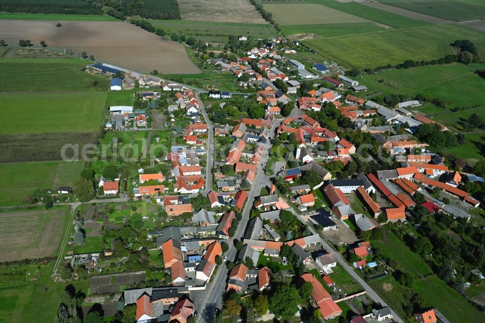 Zobbenitz from the bird's eye view: Village view on the edge of agricultural fields and land in Zobbenitz in the state Saxony-Anhalt, Germany