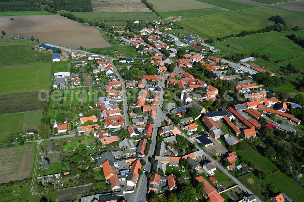 Zobbenitz from the bird's eye view: Village view on the edge of agricultural fields and land in Zobbenitz in the state Saxony-Anhalt, Germany