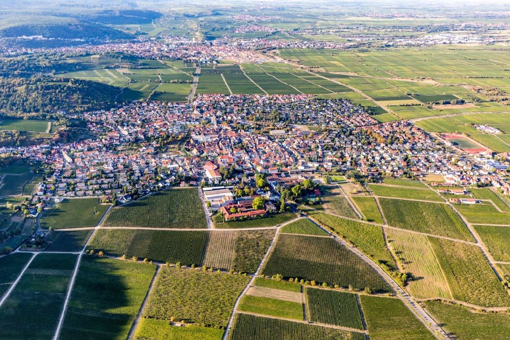 Wachenheim an der Weinstraße from above - Village view on the edge of wine yards in Wachenheim an der Weinstrasse in the state Rhineland-Palatinate, Germany