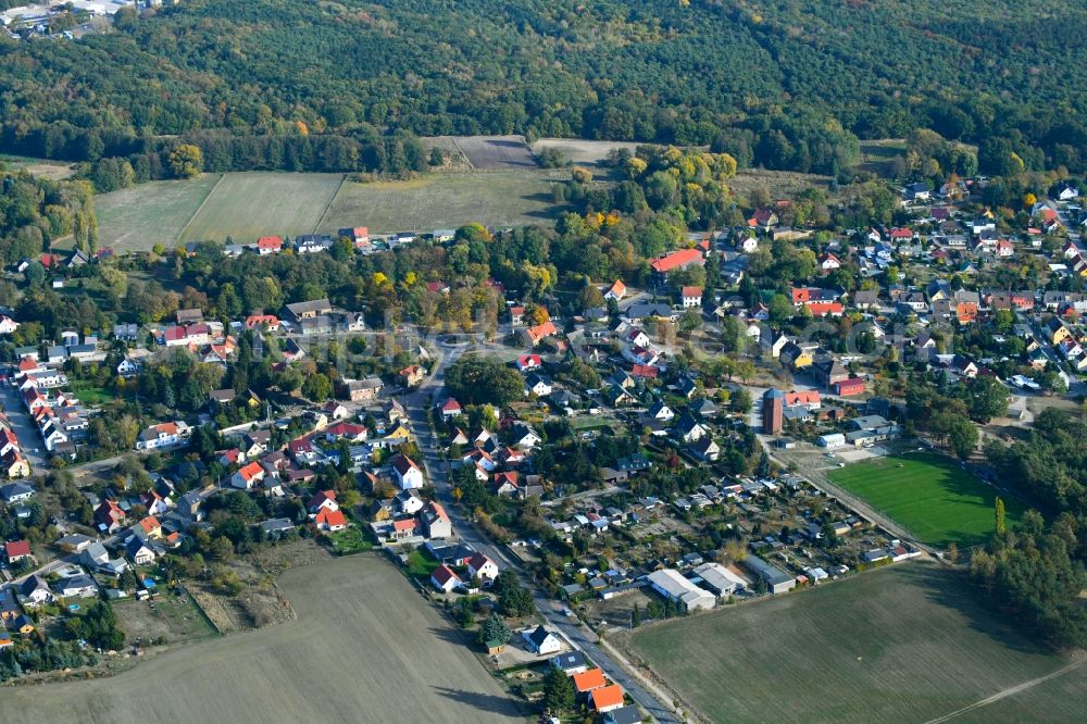 Aerial photograph Reinsdorf - Town View of the streets and houses of the residential areas in Reinsdorf in the state Saxony-Anhalt, Germany