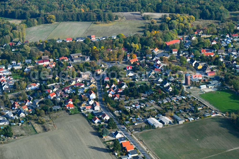 Reinsdorf from above - Town View of the streets and houses of the residential areas in Reinsdorf in the state Saxony-Anhalt, Germany