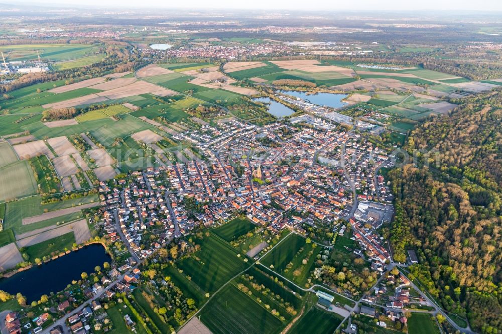 Rheinsheim from the bird's eye view: Town View of the streets and houses of the residential areas in Rheinsheim in the state Baden-Wurttemberg, Germany