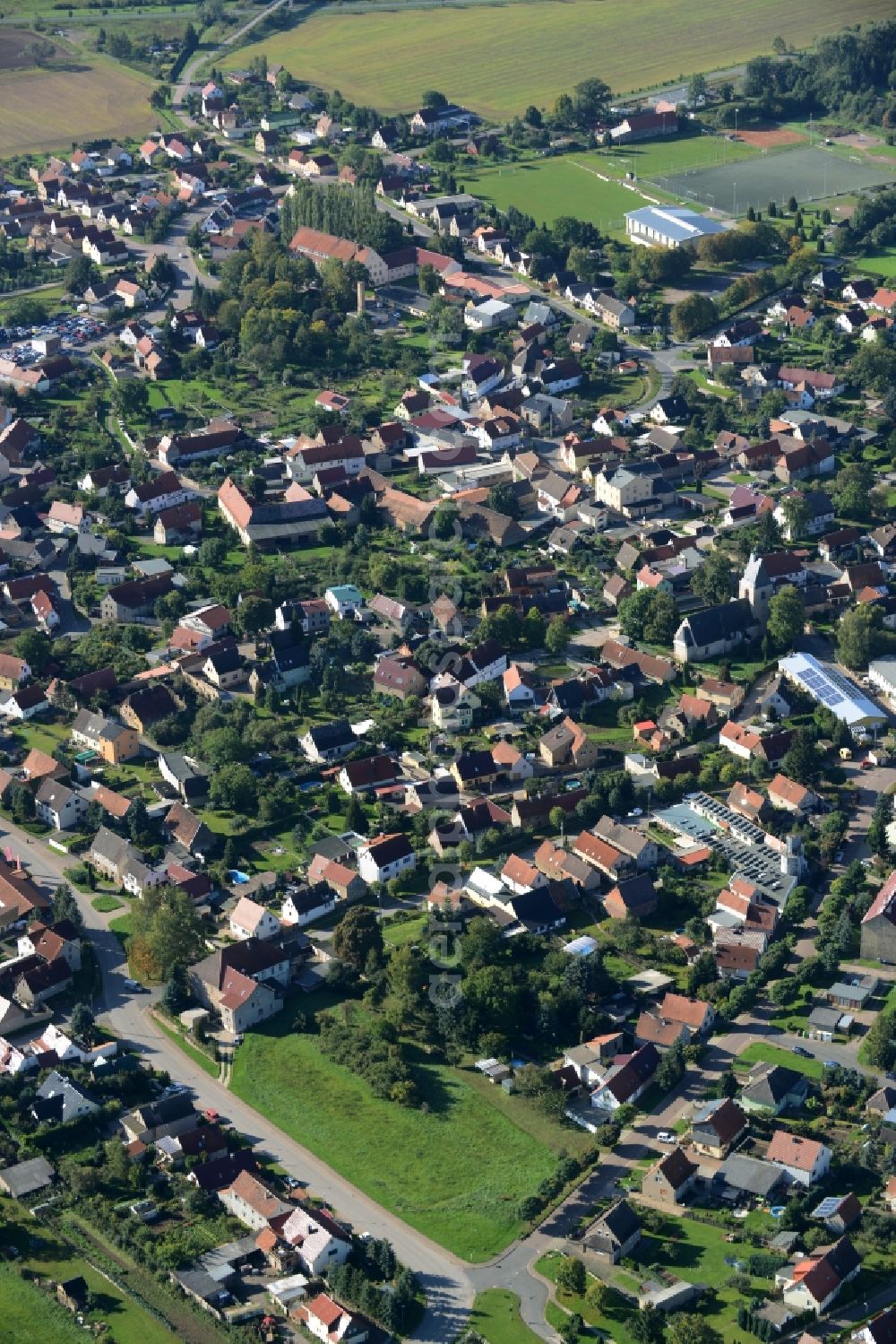 Riestedt from the bird's eye view: Townscape of Riestedt in the state Saxony-Anhalt