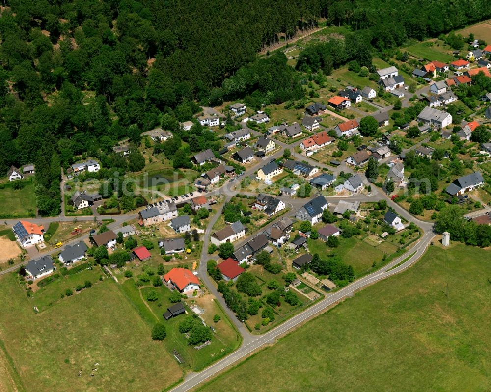 Rinzenberg from the bird's eye view: District view of Rinzenberg in the state Rhineland-Palatinate