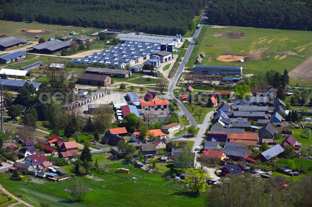 Schadow from the bird's eye view: Town View of the streets and houses of the residential areas in Schadow in the state Brandenburg, Germany