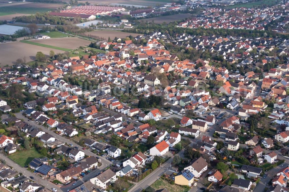 Aerial photograph Schauernheim - Town View of the streets and houses of the residential areas in Schauernheim in the state Rhineland-Palatinate, Germany