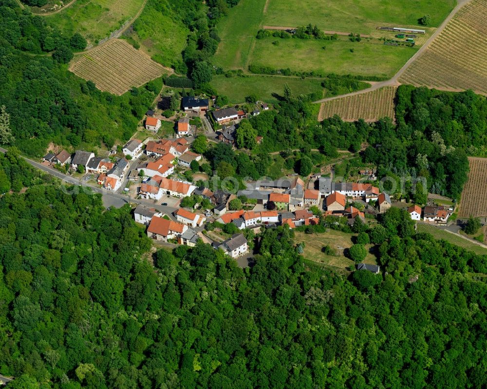 Schloßböckelheim from the bird's eye view: View of Schlossboeckelheim in the state of Rhineland-Palatinate. Schlossboeckelheim is a borough and municipiality in the county district of Bad Kreuznach. It is surrounded by forest and agricultural land and located in the Lower Nahe Region