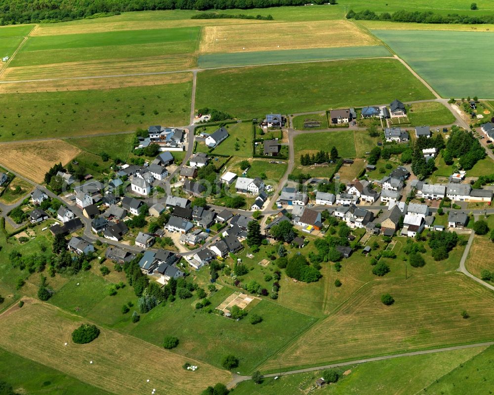 Schneppenbach from the bird's eye view: View at Schneppenbach at the L 184 in the state of Rhineland-Palatinate