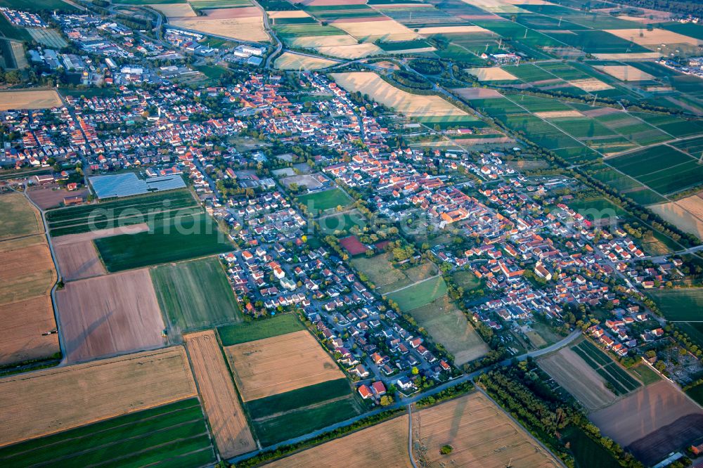 Schwegenheim from the bird's eye view: Town View of the streets and houses of the residential areas in Schwegenheim in the state Rhineland-Palatinate