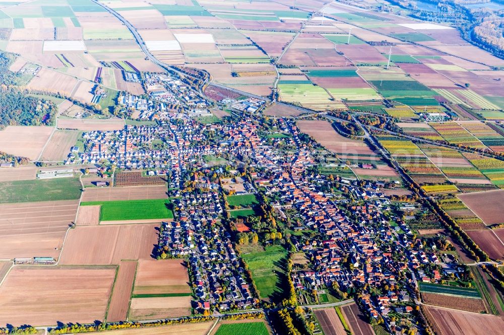 Aerial image Schwegenheim - Town View of the streets and houses of the residential areas in Schwegenheim in the state Rhineland-Palatinate, Germany