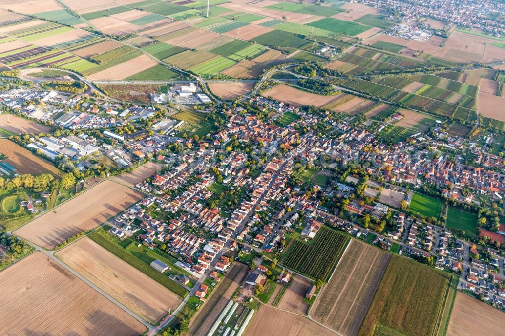 Schwegenheim from the bird's eye view: Town View of the streets and houses of the residential areas in Schwegenheim in the state Rhineland-Palatinate, Germany