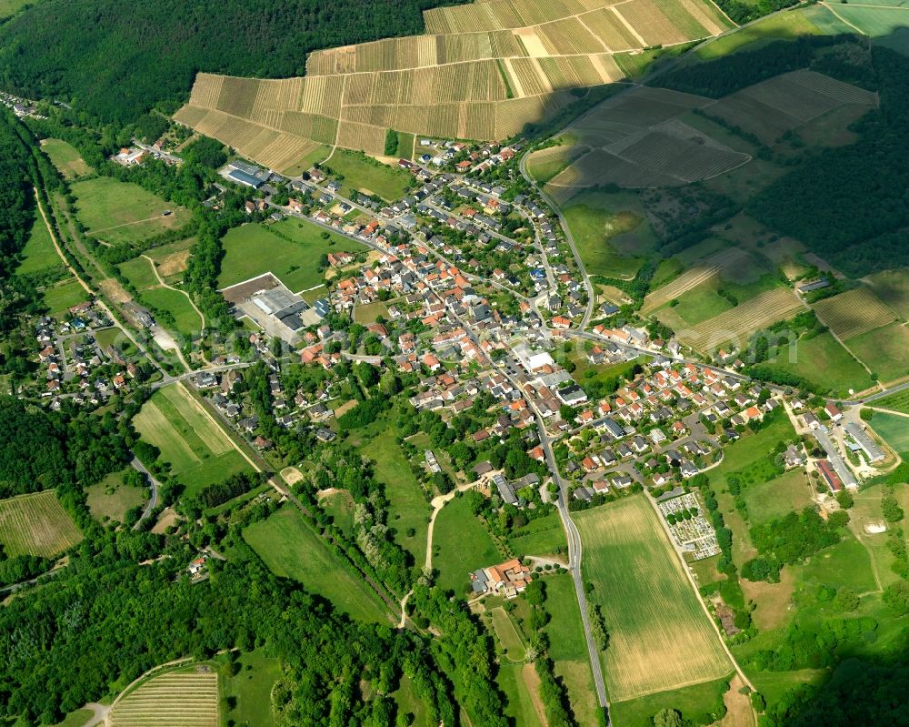 Schweppenhausen from the bird's eye view: District view of Schweppenhausen in the state Rhineland-Palatinate