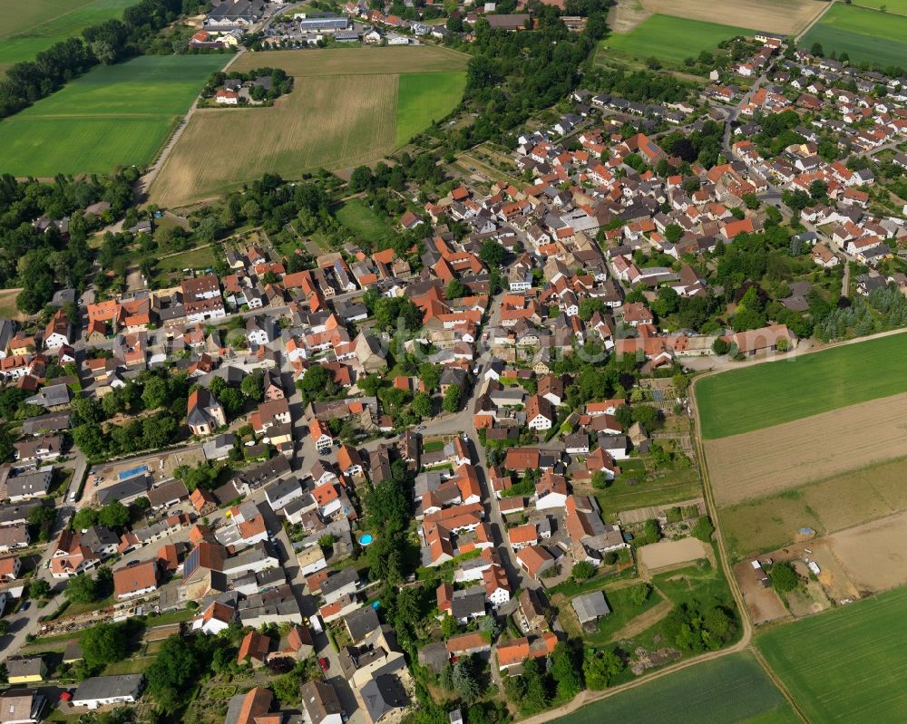 Aerial photograph Selzen - Townscape of Selzen in Rhineland-Palatinate