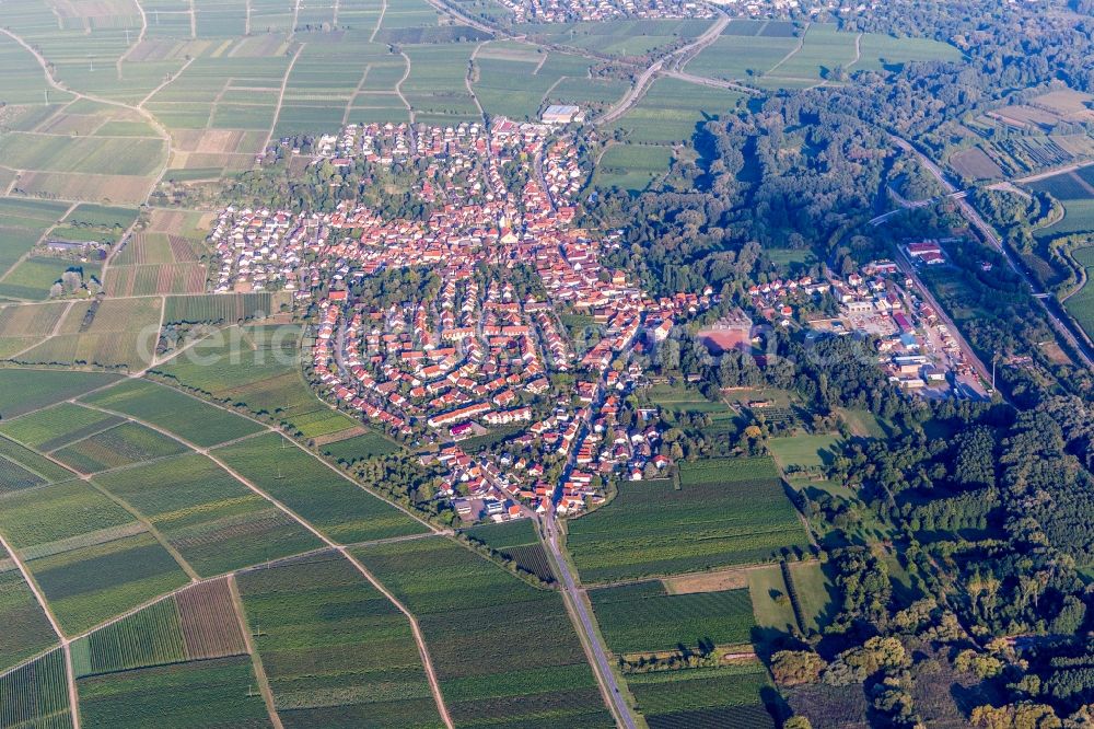 Aerial photograph Siebeldingen - Town View of the streets and houses of the residential areas in Siebeldingen in the state Rhineland-Palatinate, Germany