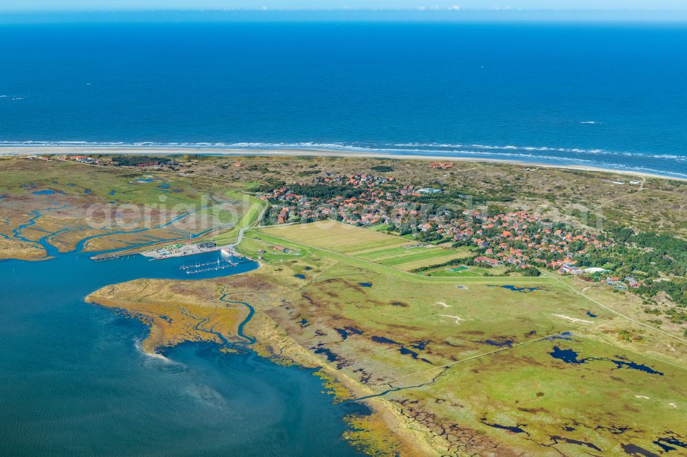 Spiekeroog from the bird's eye view: City view on Spiekeroog in the state Lower Saxony, Germany