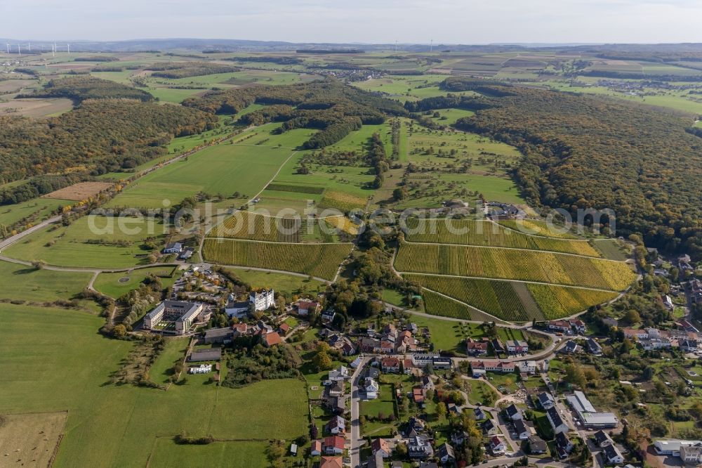 Perl OT Nennig from above - Local view of the city center with the castle hill in Perl- Nennig in Saarland