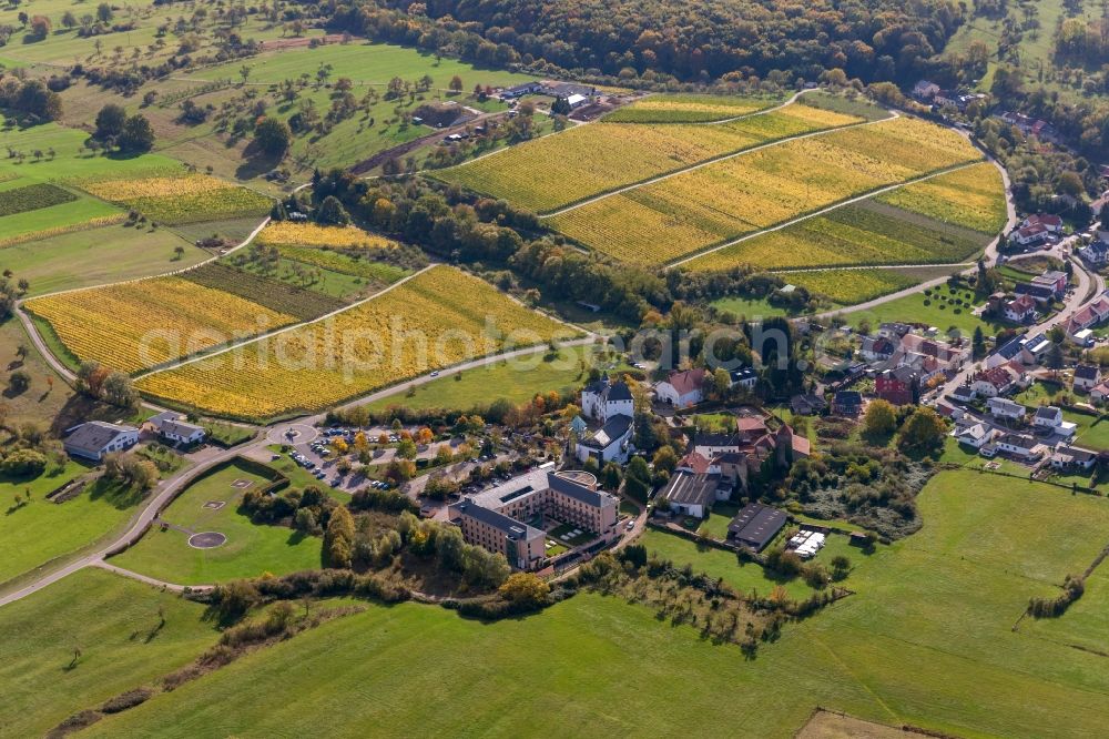 Perl OT Nennig from above - Local view of the city center with the castle hill in Perl- Nennig in Saarland