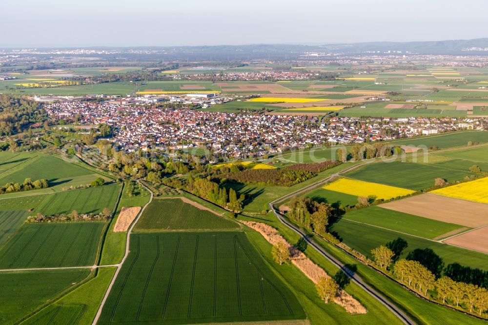 Aerial image Stockstadt am Rhein - Town View of the streets and houses of the residential areas in Stockstadt am Rhein in the state Hesse, Germany