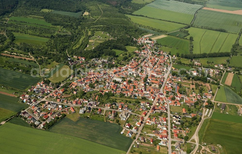 Aerial photograph Tilleda - Town View of the streets and houses in Tilleda in the state Saxony-Anhalt, Germany