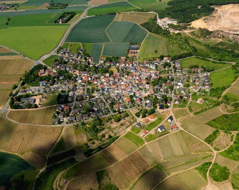 Aerial photograph Traisen - View of the borough of Traisen in the state of Rhineland-Palatinate. The municipiality is located in the Nahe Valley on the riverbank of the river Nahe, near the Rotenfels region. Traisen is an important wine-growing village of the region