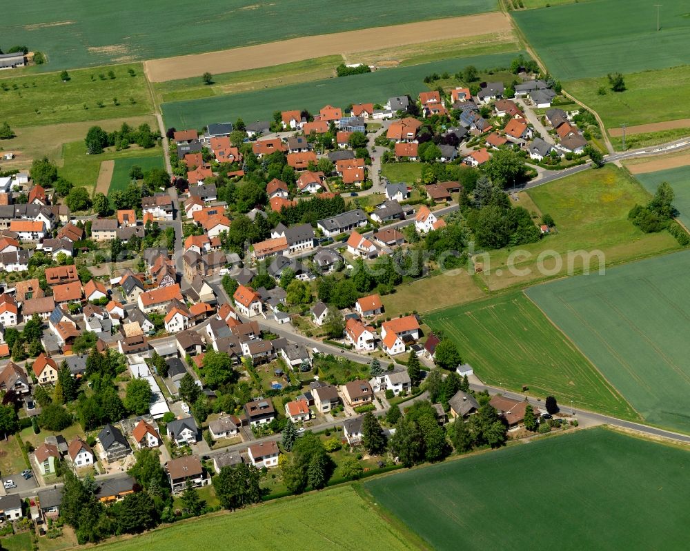 Traisen from the bird's eye view: View of the borough of Traisen in the state of Rhineland-Palatinate. The municipiality is located in the Nahe Valley on the riverbank of the river Nahe, near the Rotenfels region. Traisen is an important wine-growing village of the region