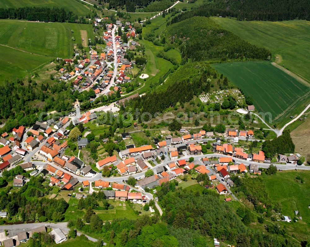 Aerial photograph Trautenstein - Town View of the streets and houses of the residential areas in Trautenstein in the state Saxony-Anhalt, Germany