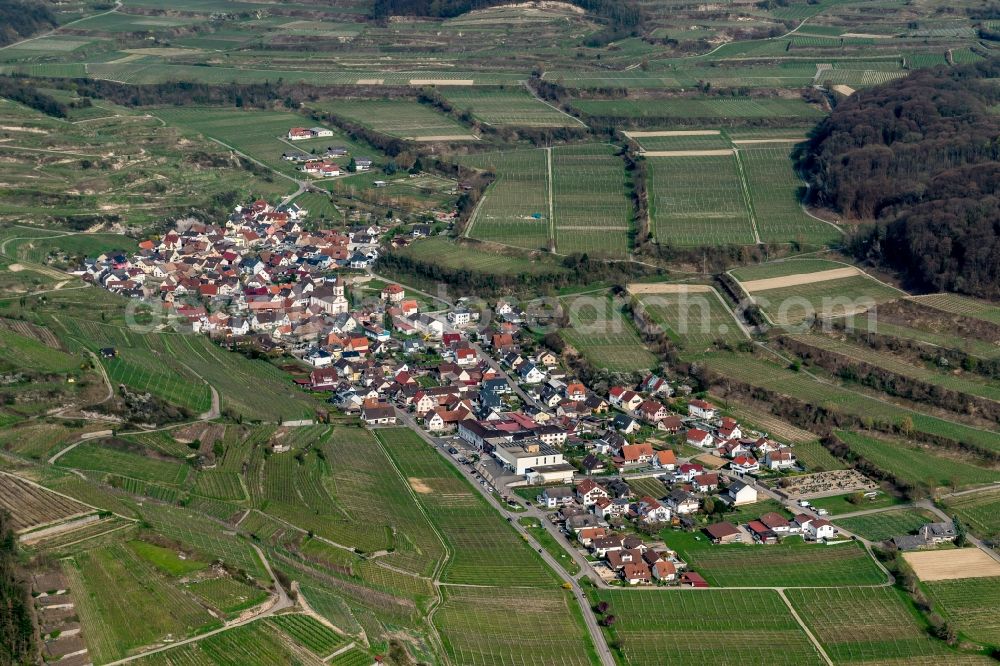 Vogtsburg im Kaiserstuhl from the bird's eye view: Town View of the streets and houses of the residential areas in Vogtsburg im Kaiserstuhl in the state Baden-Wuerttemberg, Germany