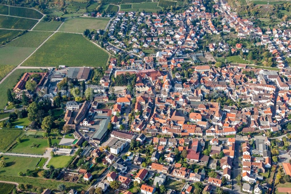 Wachenheim an der Weinstraße from the bird's eye view: Town View of the streets and houses of the residential areas in Wachenheim an der Weinstrasse in the state Rhineland-Palatinate, Germany