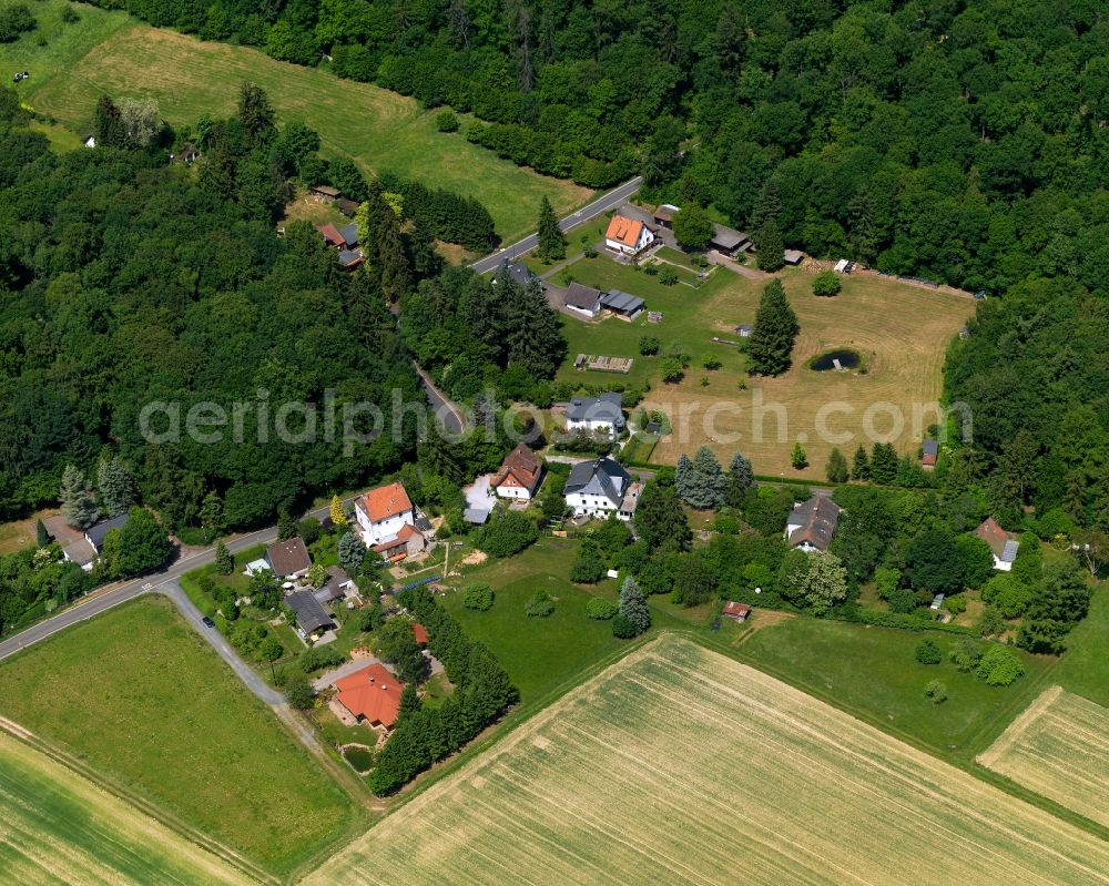 Aerial image Seesbach - Town View of Waldfriede in Seesbach in Rhineland-Palatinate