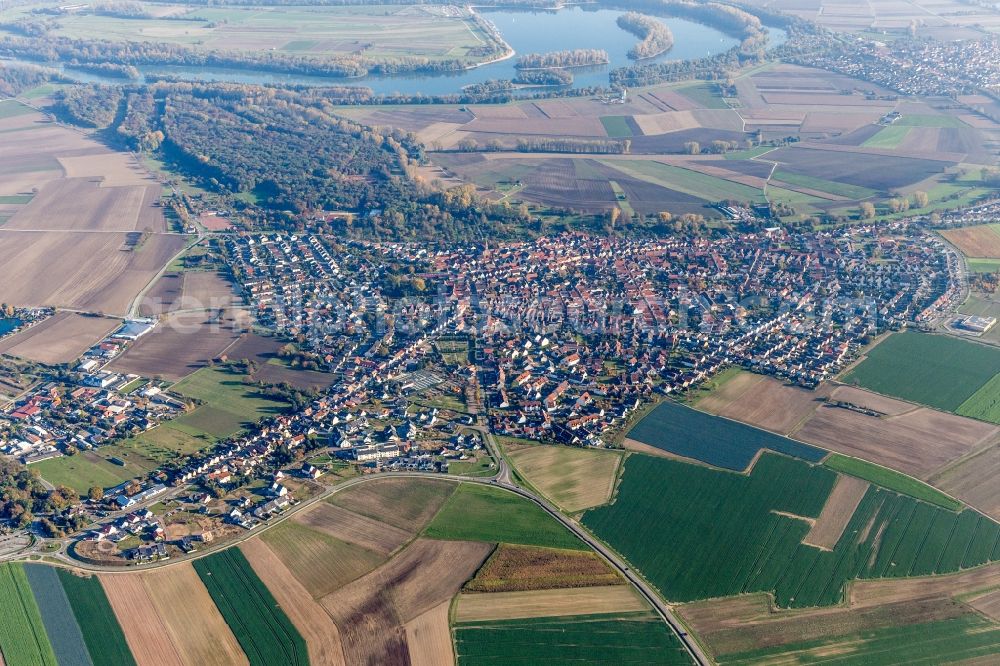 Waldsee from the bird's eye view: Town View of the streets and houses of the residential areas in Waldsee in the state Rhineland-Palatinate, Germany