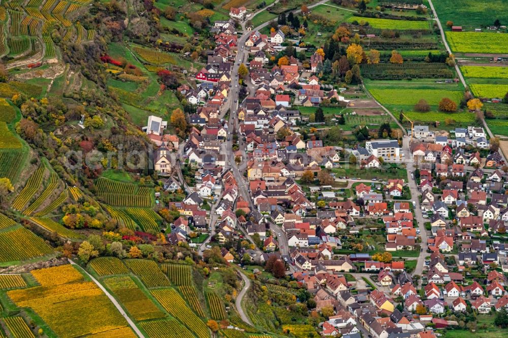 Wasenweiler from the bird's eye view: Town View of the streets and houses of the residential areas in Wasenweiler in the state Baden-Wuerttemberg, Germany